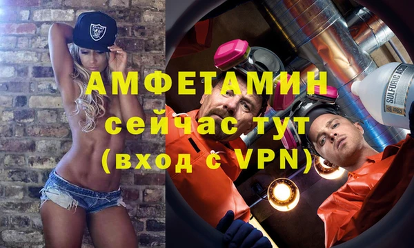 амф Дмитриев