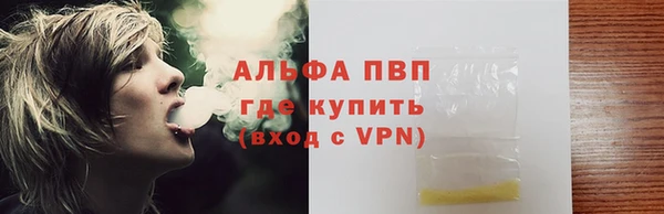 PSILOCYBIN Тутаев
