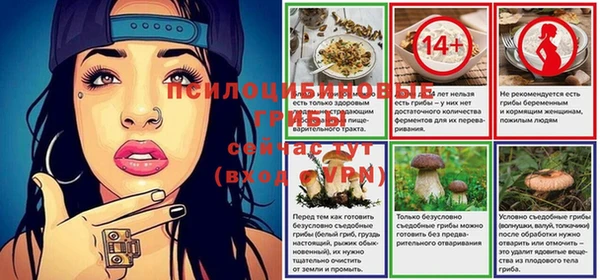 дурь Дмитровск