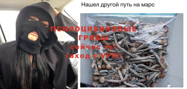 амф Дмитриев