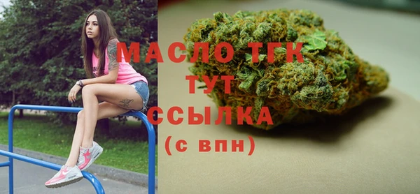 амф Дмитриев