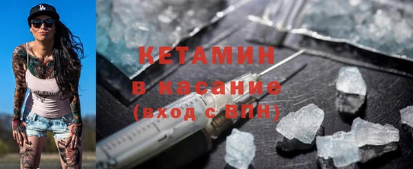 амф Дмитриев