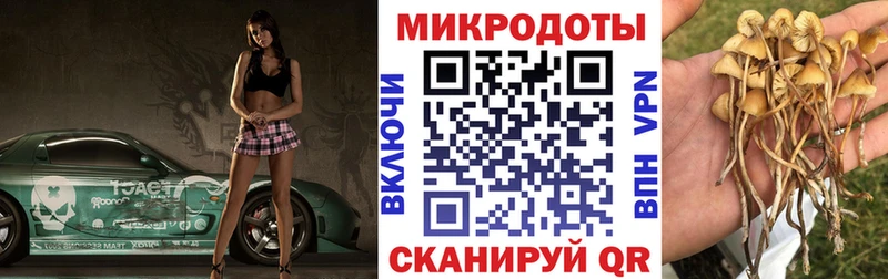 Псилоцибиновые грибы мухоморы  Семёнов 